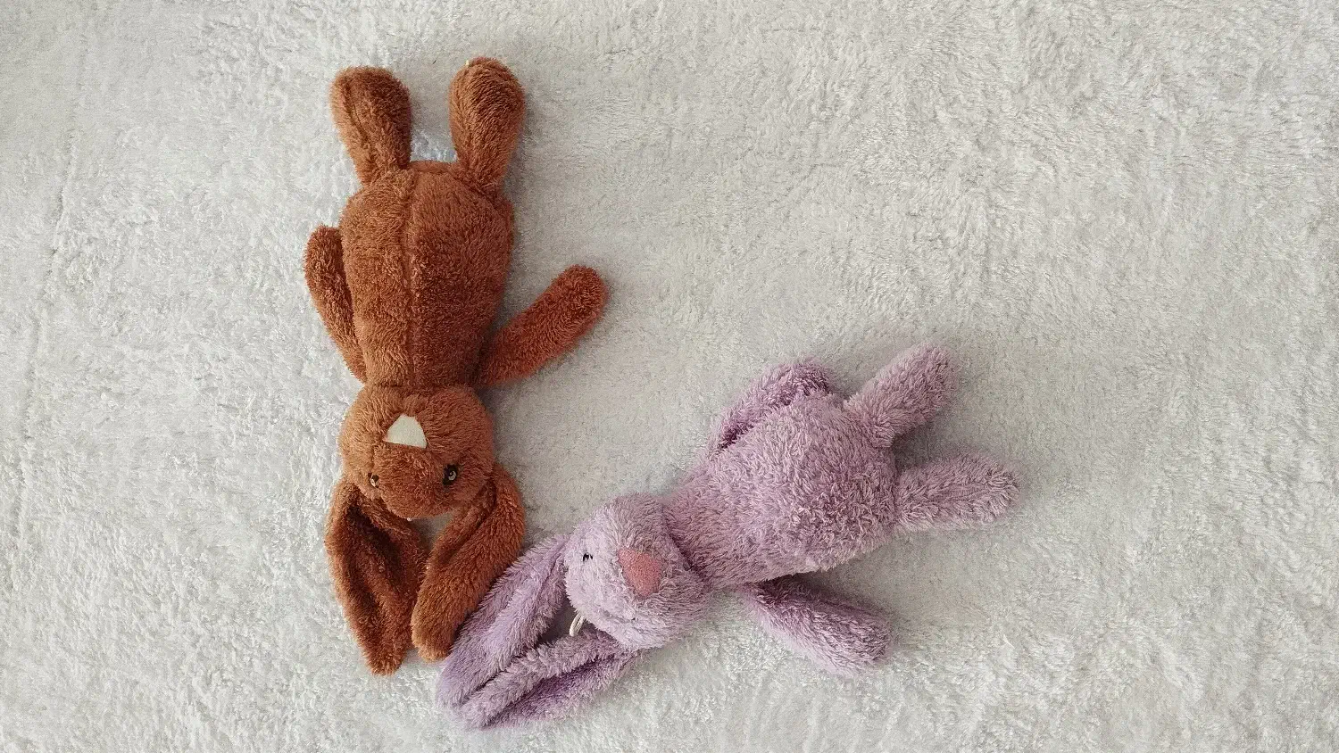 جیلی کت|اسباب‌بازی بچه|تربت‌حیدریه, طالقانی|دیوار