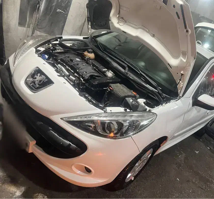 پژو۲۰۷ EL داشبورد ۲۰۶ موتور تیوفاو|خودرو سواری و وانت|مشهد, کوی المهدی|دیوار