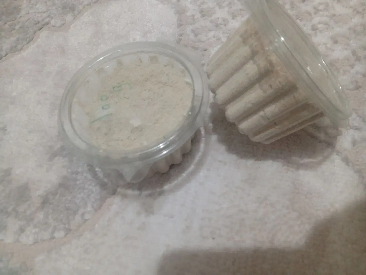 سرلاک  پرنده|لوازم جانبی حیوانات|رفسنجان, |دیوار