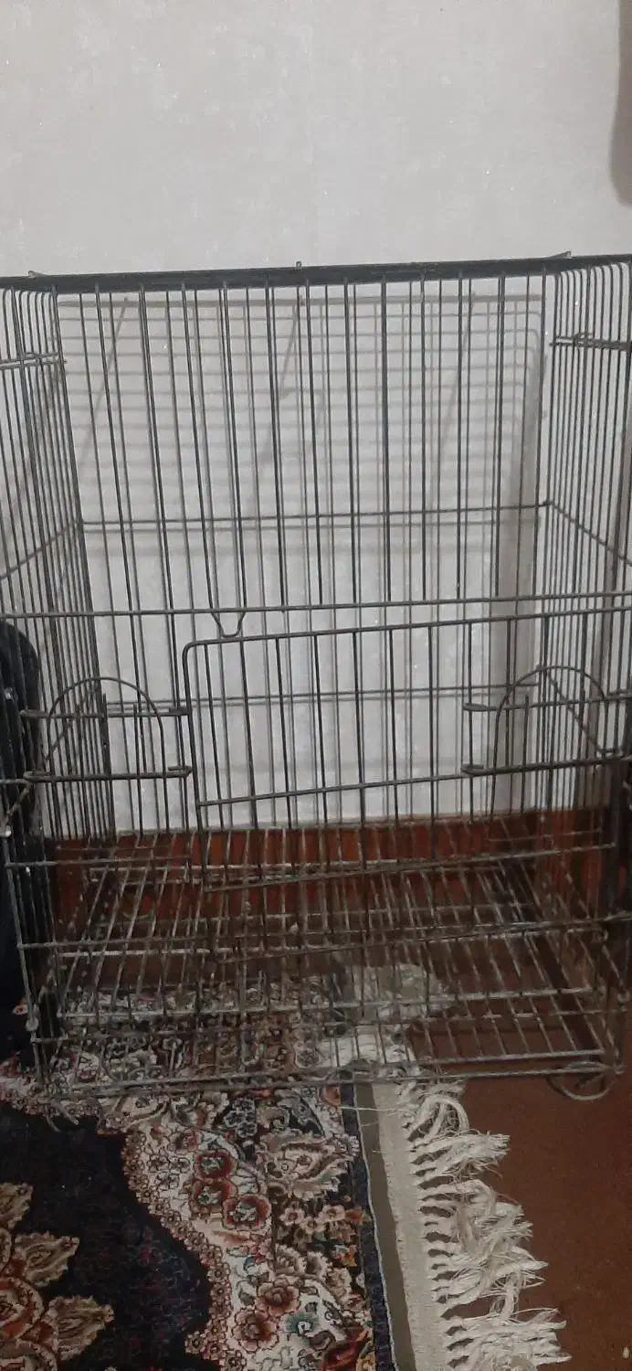قفس کاسکو یا طوطی|لوازم جانبی حیوانات|اهواز, بیست متری شهرداری|دیوار