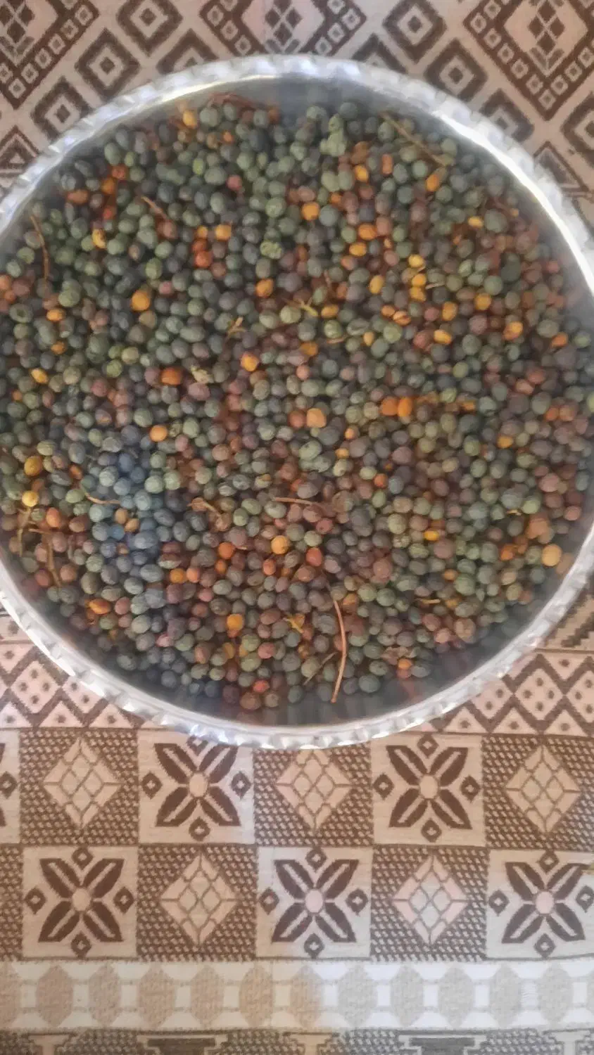 بنه کوهی|خوردنی و آشامیدنی|شیراز, میانرود|دیوار