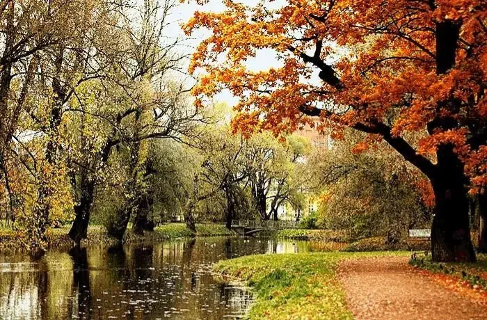 تابلو فرش|تابلو فرش|اردبیل, |دیوار