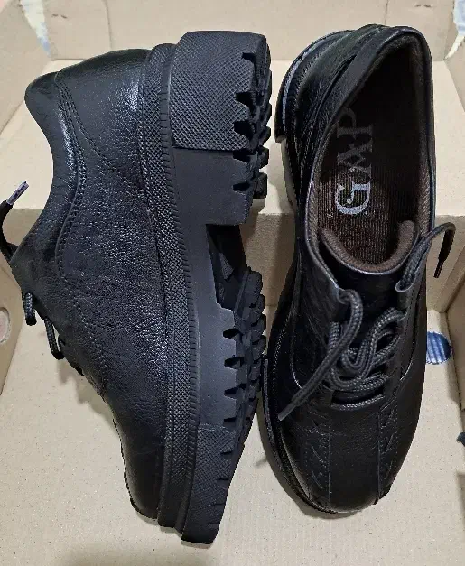 کفش|کیف، کفش، کمربند|سامان, |دیوار