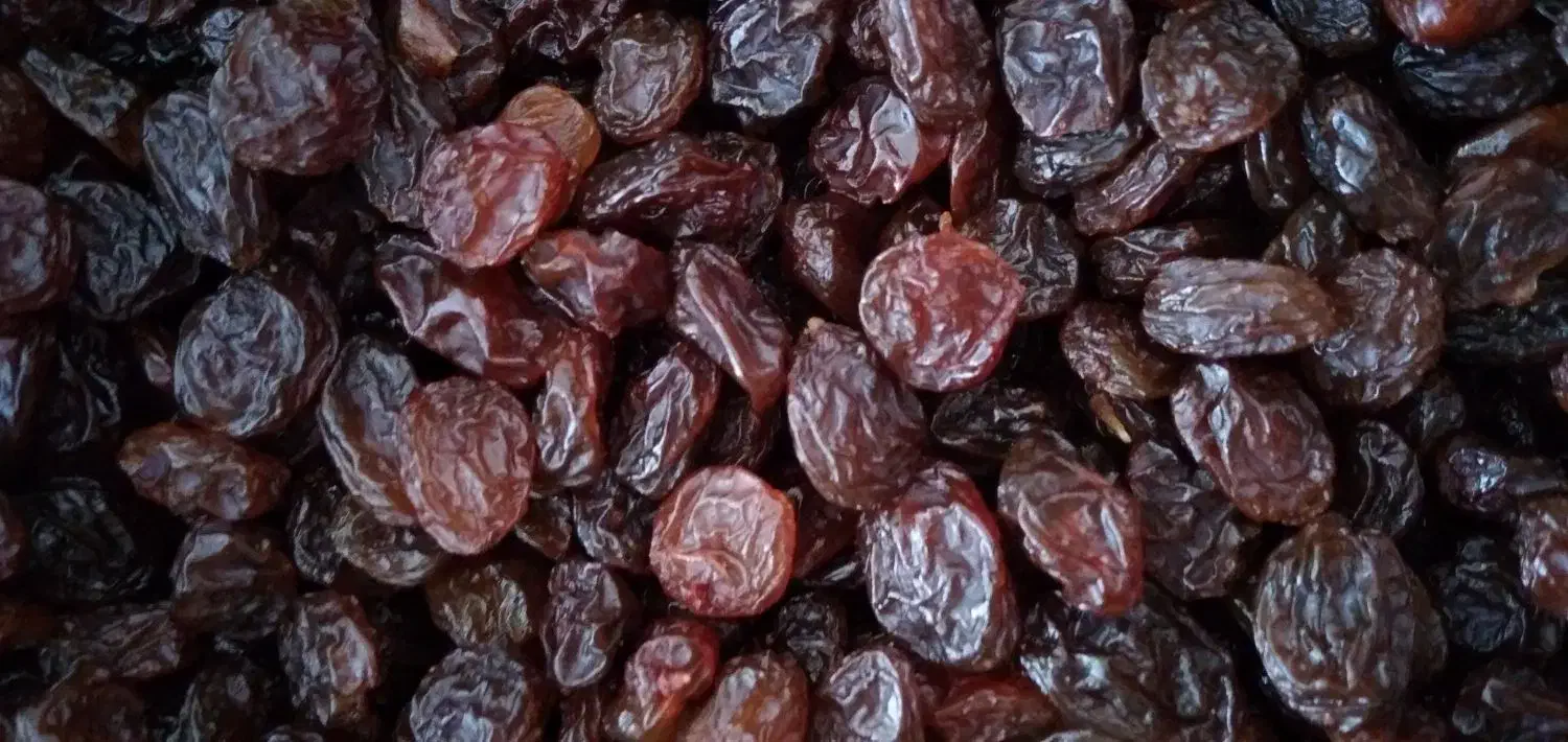 پخش کشمش به قیمت کارخانه|خوردنی و آشامیدنی|سنگر, |دیوار