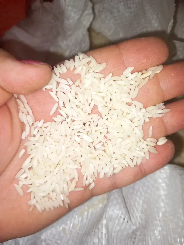 برنج|خوردنی و آشامیدنی|فومن, |دیوار