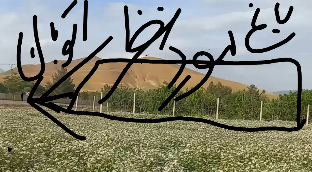 باغ ۱۰ ساله مثمر بر اتوبان تهران|فروش دفتر صنعتی، کشاورزی، تجاری|کرمانشاه, |دیوار