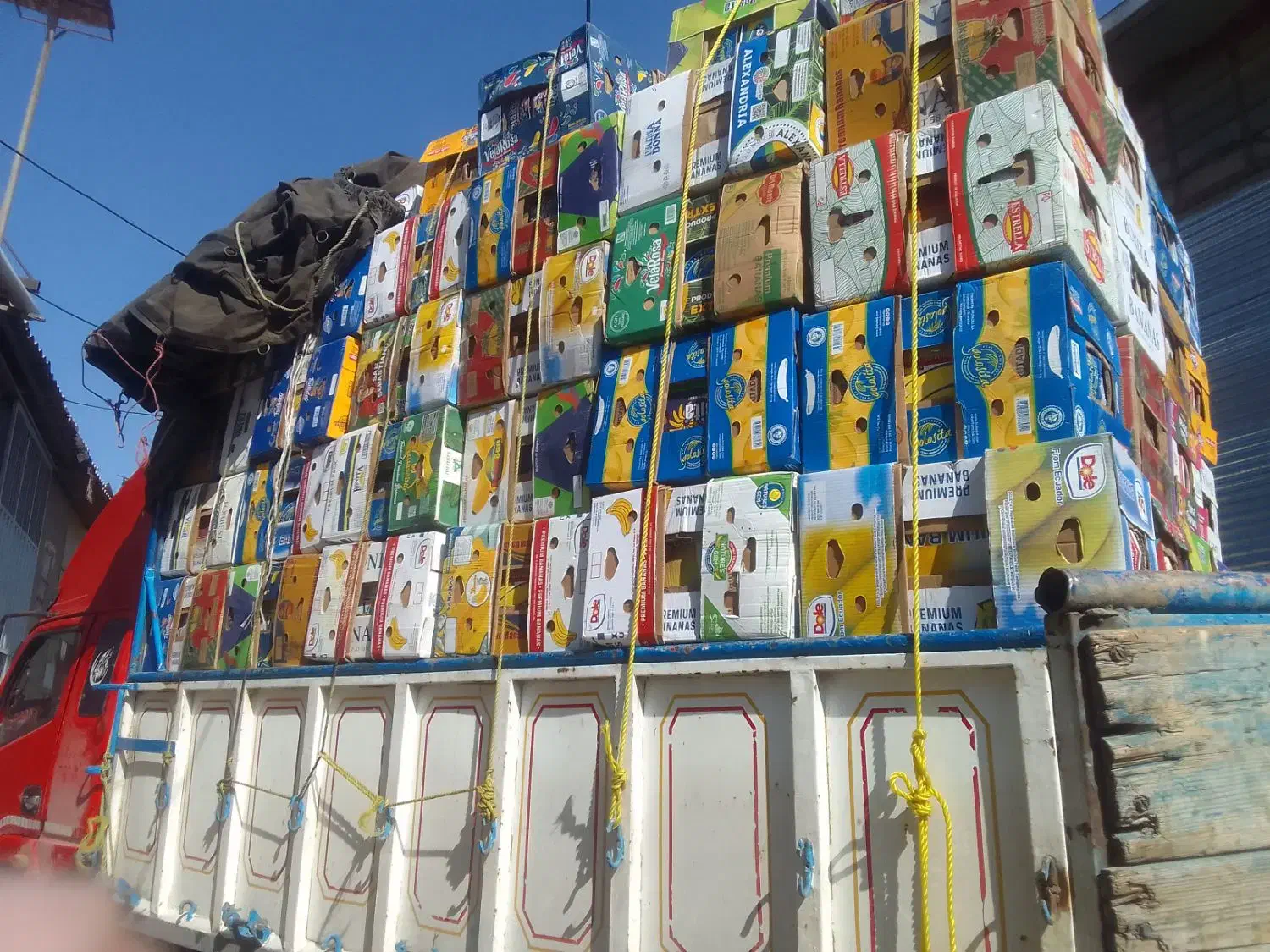 خرید و فروش کارتون موزی|عمده‌فروشی|اسلام‌شهر, شهرک امام حسین (میان آباد)|دیوار