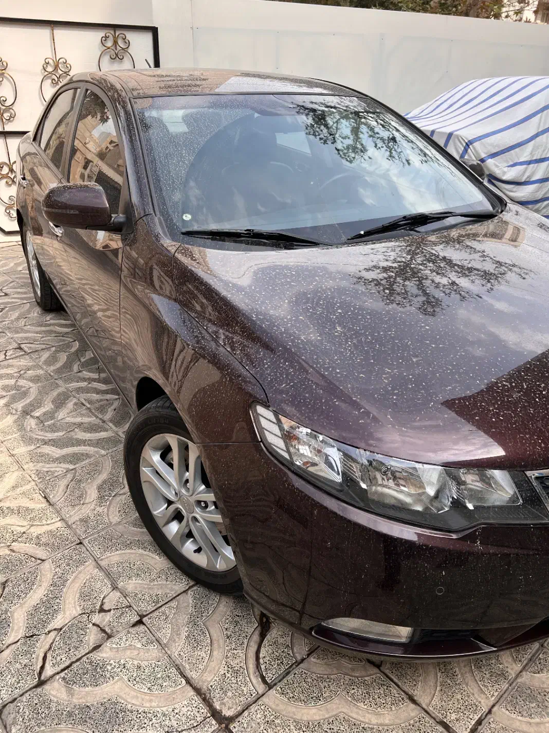 سراتو۹۷|خودرو سواری و وانت|کرج, برغان|دیوار