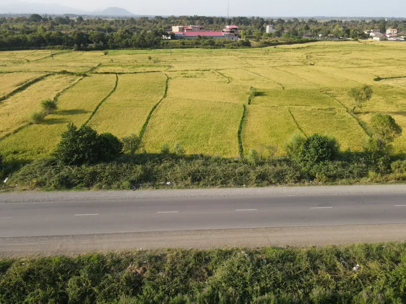 فروش زمین مناسب برای سوله|فروش دفتر صنعتی، کشاورزی، تجاری|آستارا, |دیوار