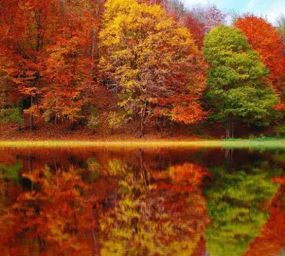 تور یک روزه برنجستانک|تور و چارتر|تهران, شهرک گلها (تهرانسر)|دیوار