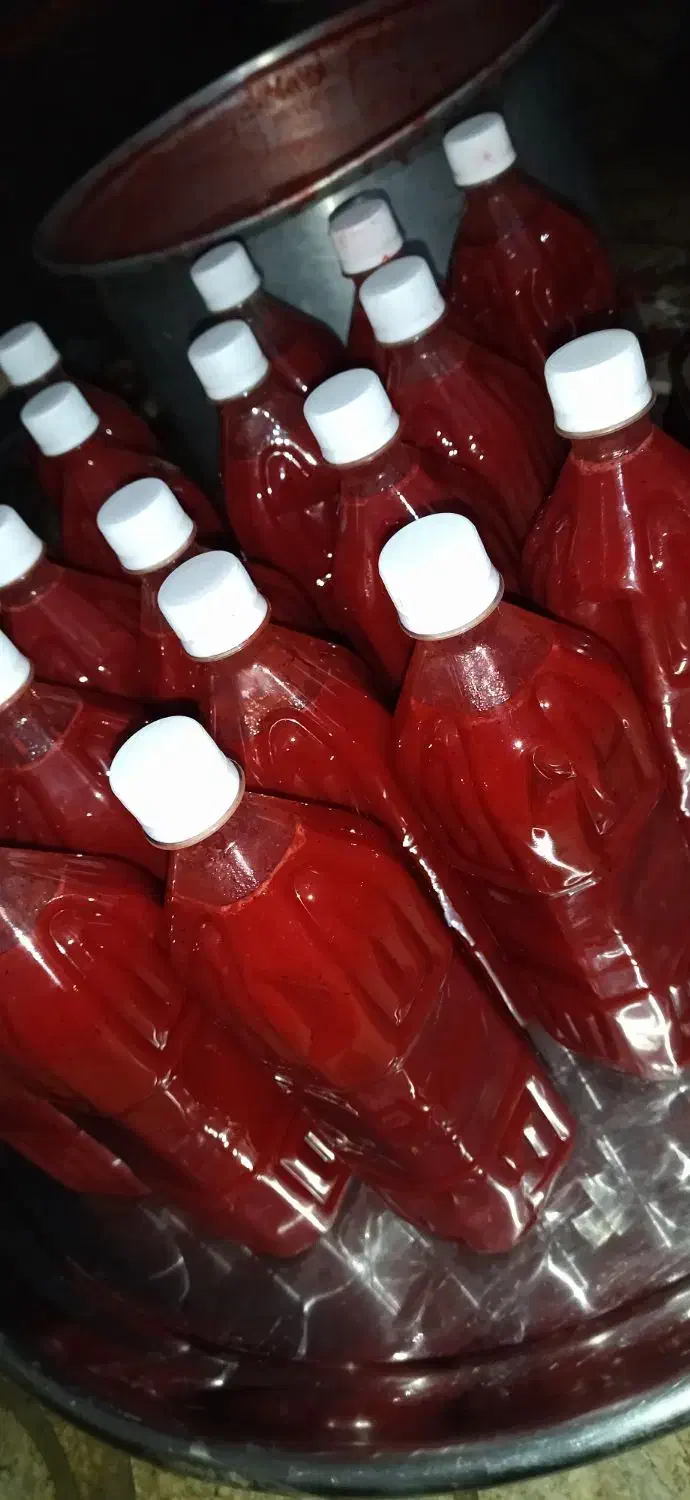 اب زرشک صد در صد خالص|خوردنی و آشامیدنی|بندر ترکمن, |دیوار