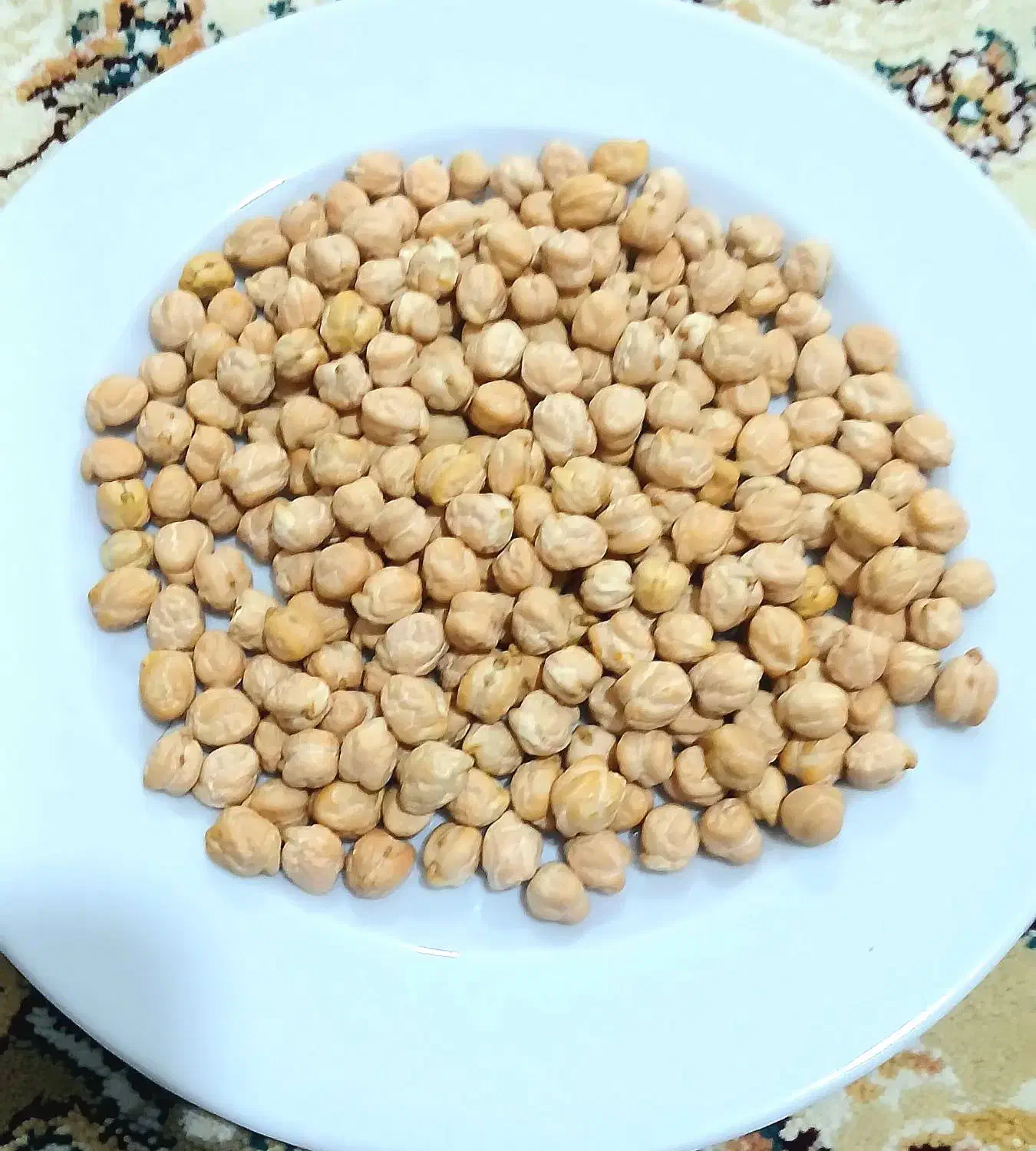 نخود بوکسو ترکیه|خوردنی و آشامیدنی|نقده, |دیوار