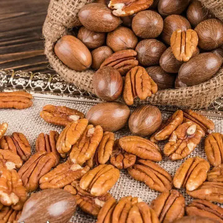 فروش درخت گردو پکان بذری|خدمات باغبانی و درختکاری|کنگاور, |دیوار