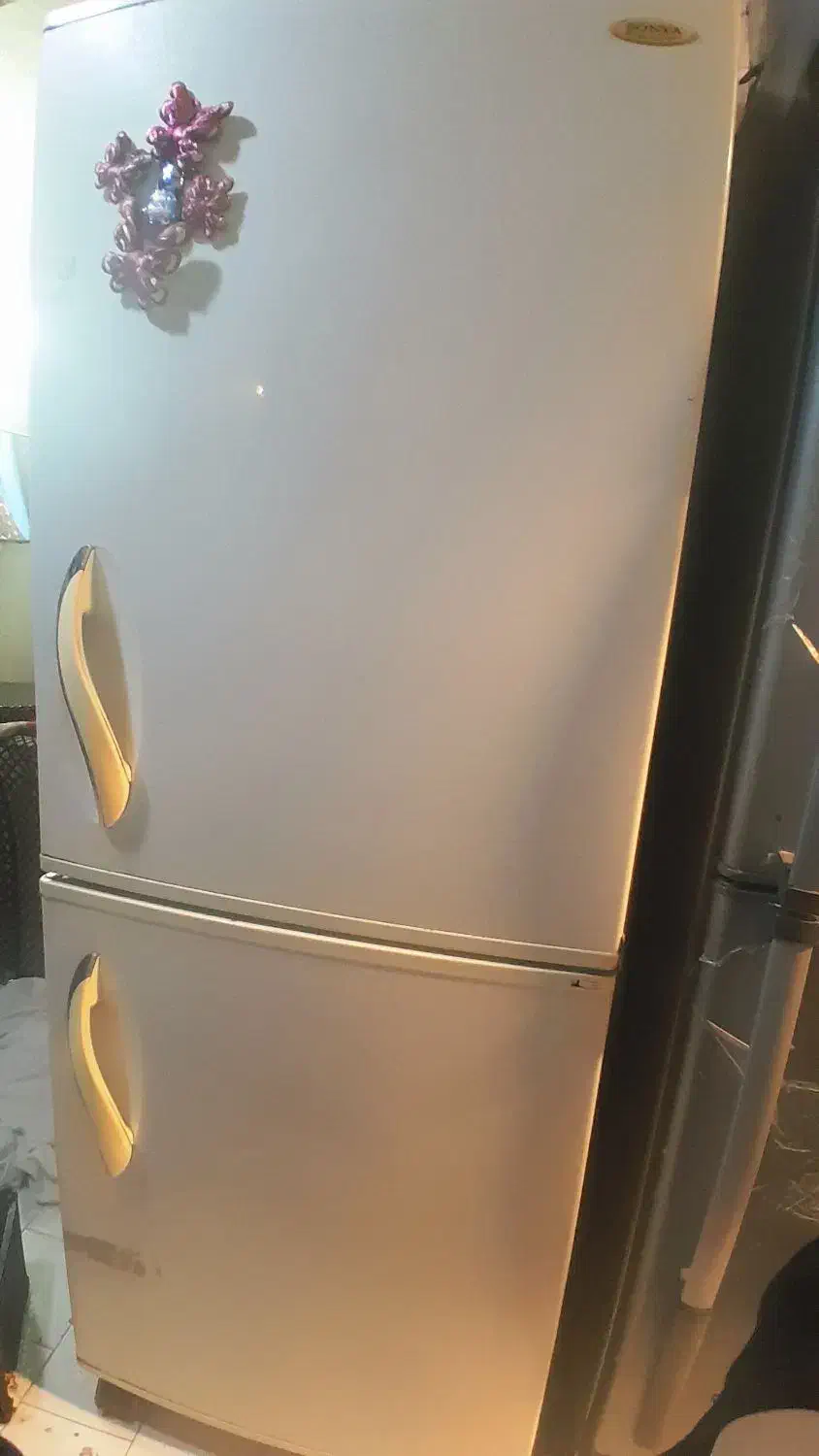 یخچال|یخچال و فریزر|اشکذر, |دیوار