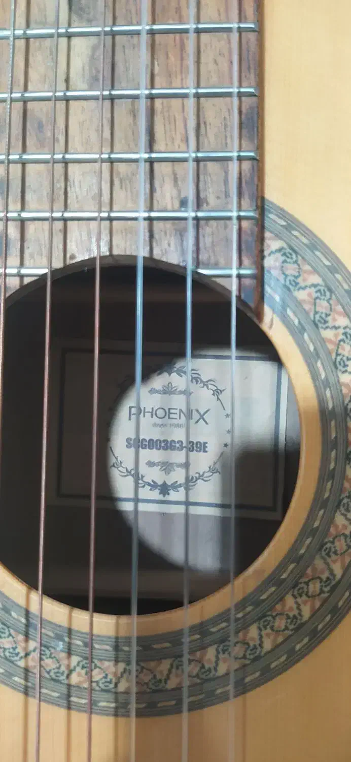 گیتار|گیتار، بیس، امپلیفایر|گناباد, |دیوار