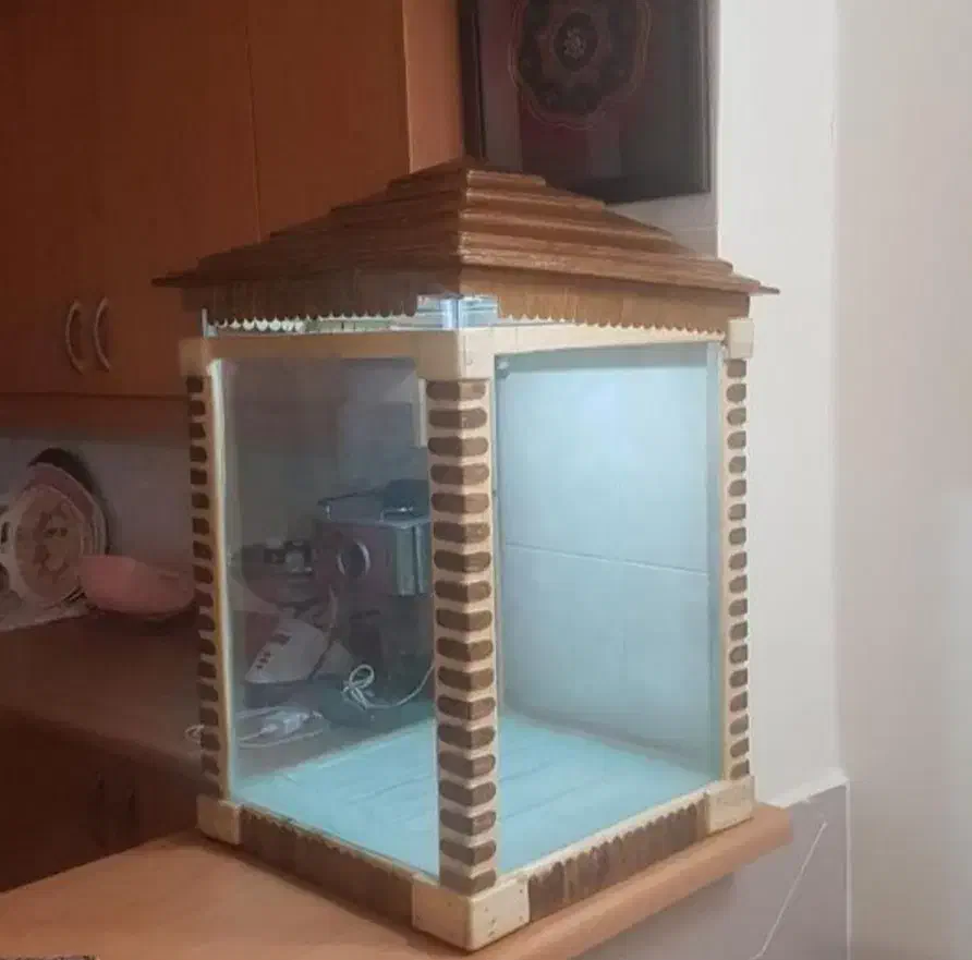 آکواریوم|ماهی|شهرضا, |دیوار