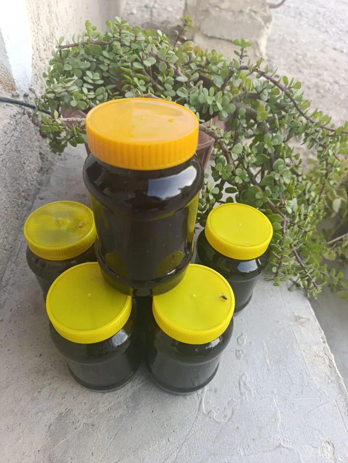 شیره خرما درجه یک|عمده‌فروشی|سعدآباد, |دیوار