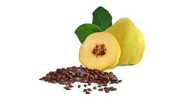 دانه به|خوردنی و آشامیدنی|احمدسرگوراب, |دیوار