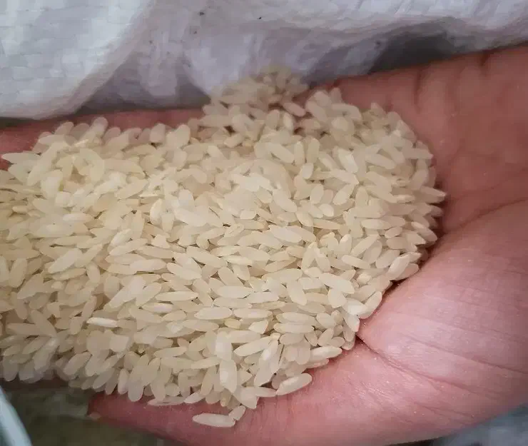 برنج کامفیروز اصلی|عمدهفروشی|کامفیروز, |دیوار