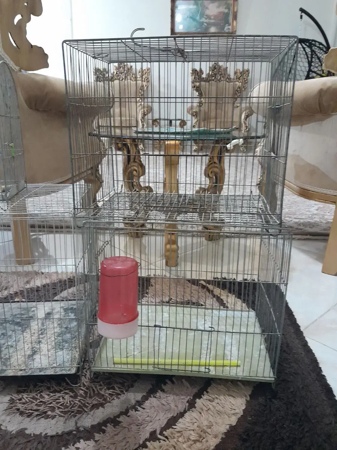 قفس پرنده قناری وسره|لوازم جانبی حیوانات|ملایر, |دیوار