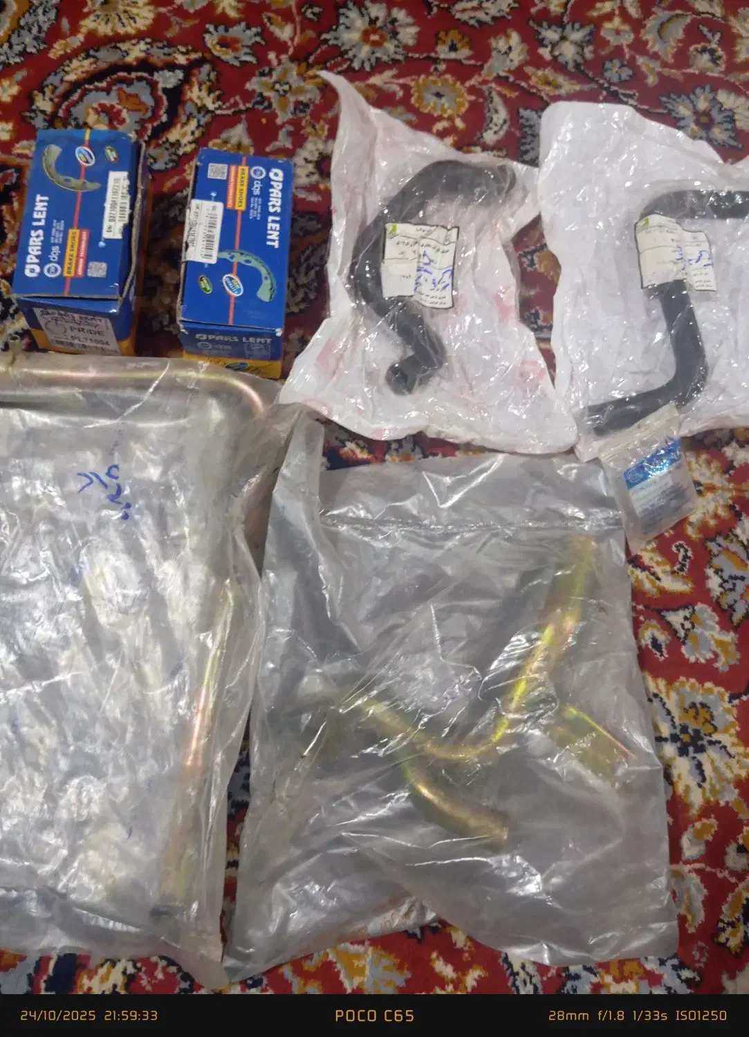 پرنده|پرنده|زاهدان, |دیوار