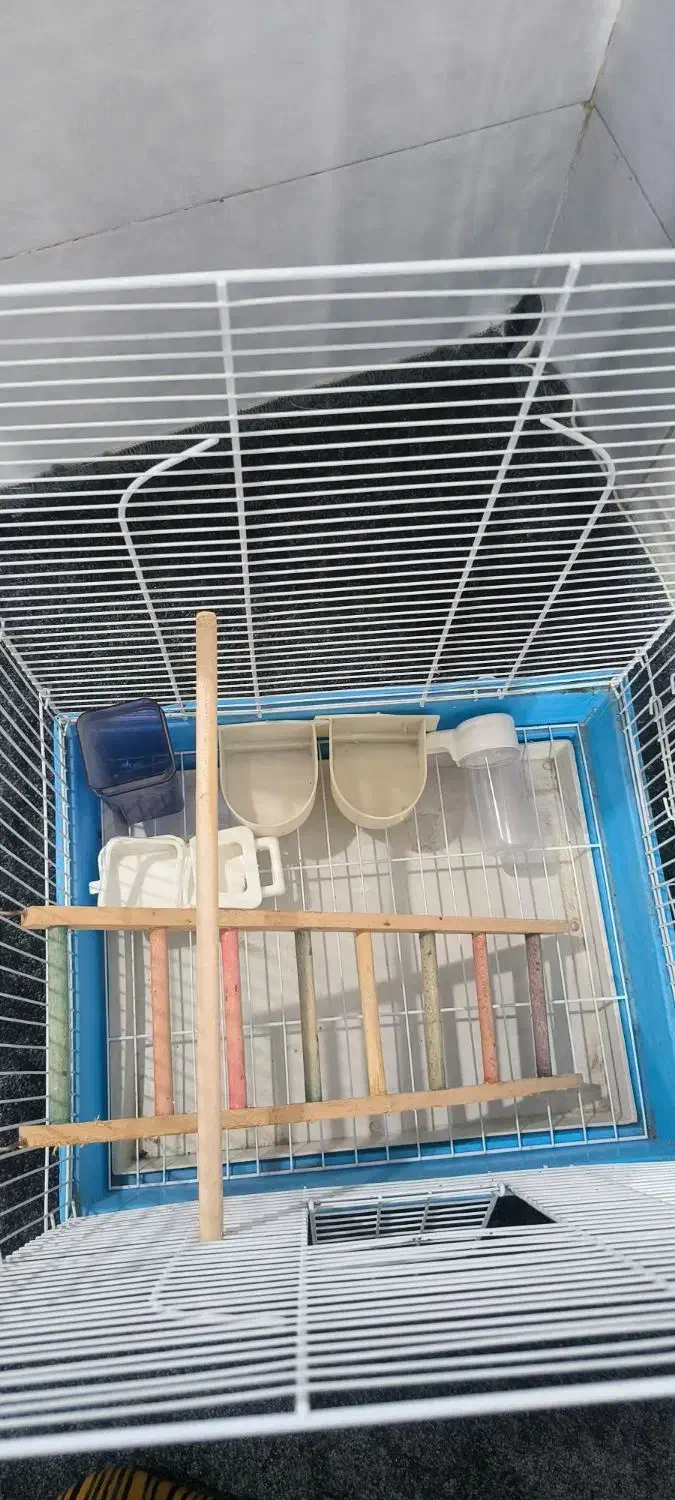 قفس پرنده|لوازم جانبی حیوانات|درگهان, |دیوار