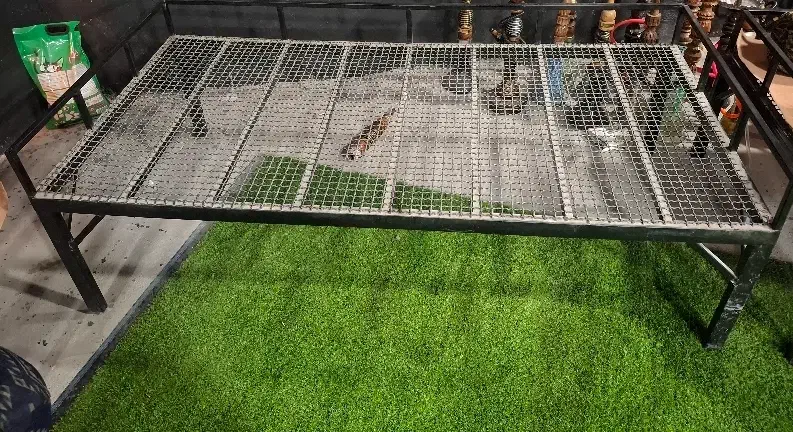 8 عدد تخت با این طرح و مدل|تخت و سرویس خواب|دهدشت, |دیوار