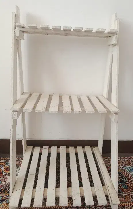 پایه گل|گل و گیاه طبیعی|یزد, |دیوار