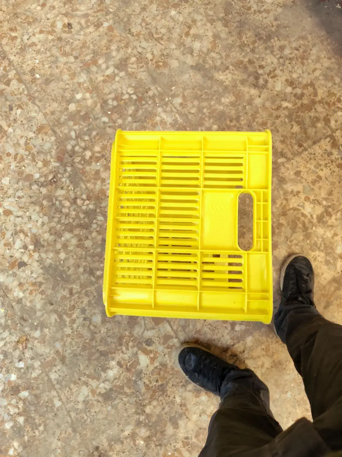 سبدحمال|عمده‌فروشی|تبریز, |دیوار