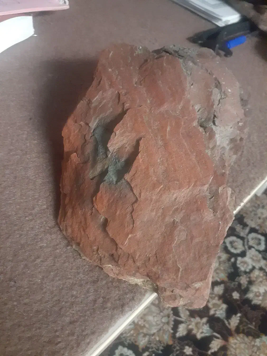 صخره زیبا|ماهی|تالش, هشتپر|دیوار