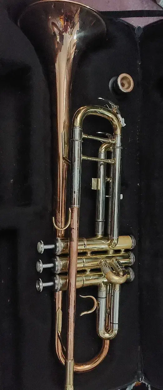 ساز بادی|سازهای بادی|کرمان, |دیوار