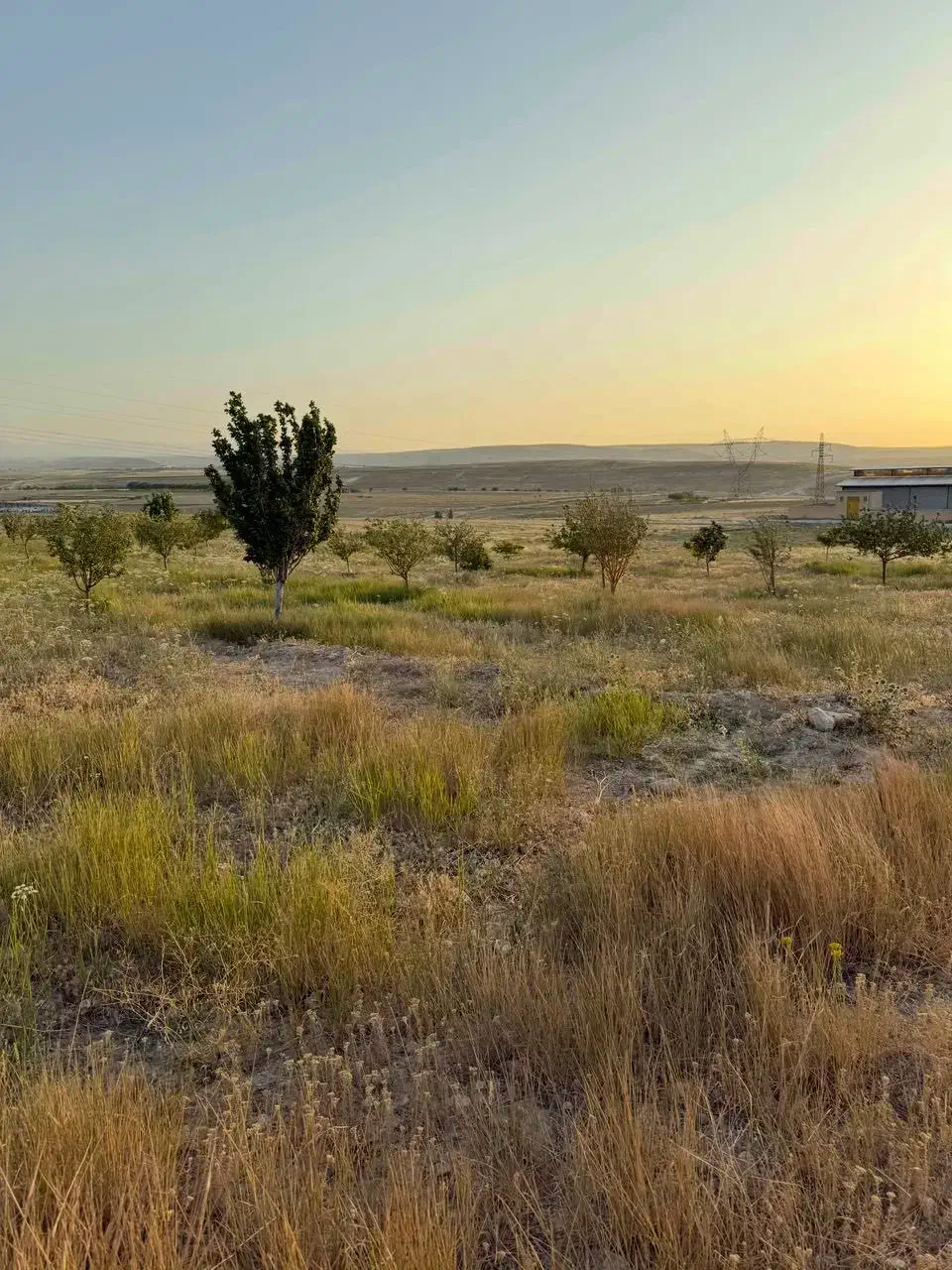 زمین زراعی|فروش زمین و ملک کلنگی|بستان آباد, |دیوار