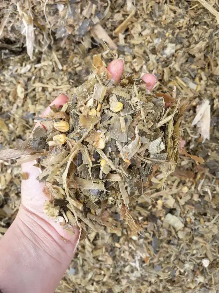 ذرت سیلو و یونجه|عمدهفروشی|زنجان, |دیوار