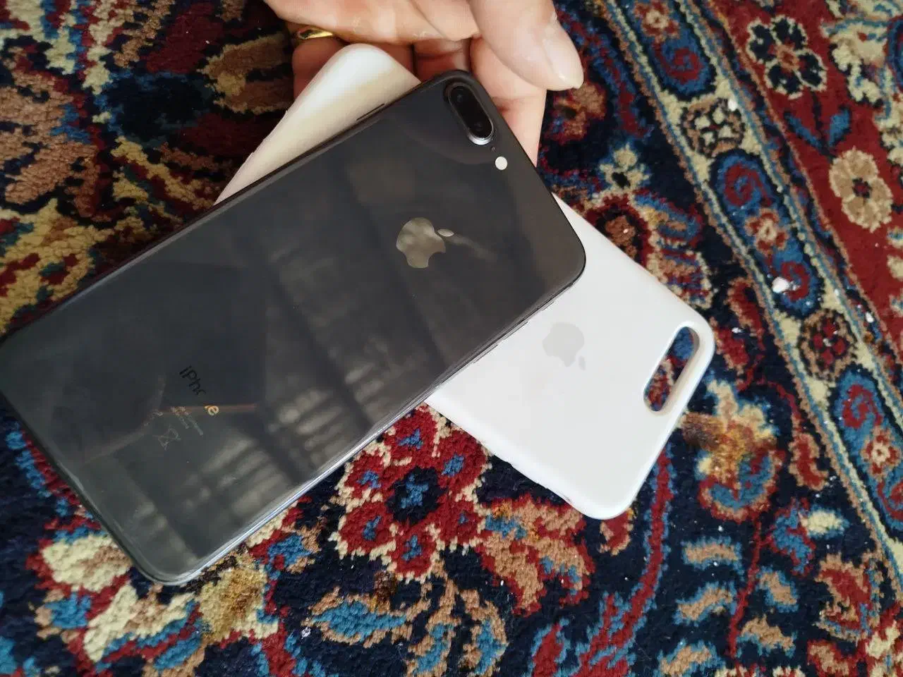 گوشی ایفون ۸پلاس|موبایل|کرمانشاه, |دیوار