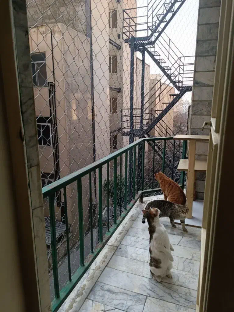 امنیت بالکن برای گربه و کبوتر|خدمات پیشه و مهارت|تهران, قلهک|دیوار