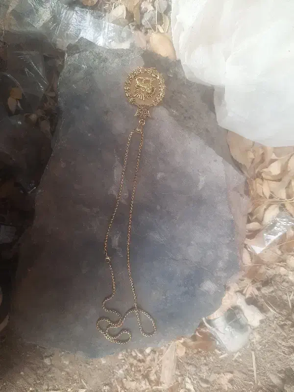 گردنبند|حراج|آباده, |دیوار