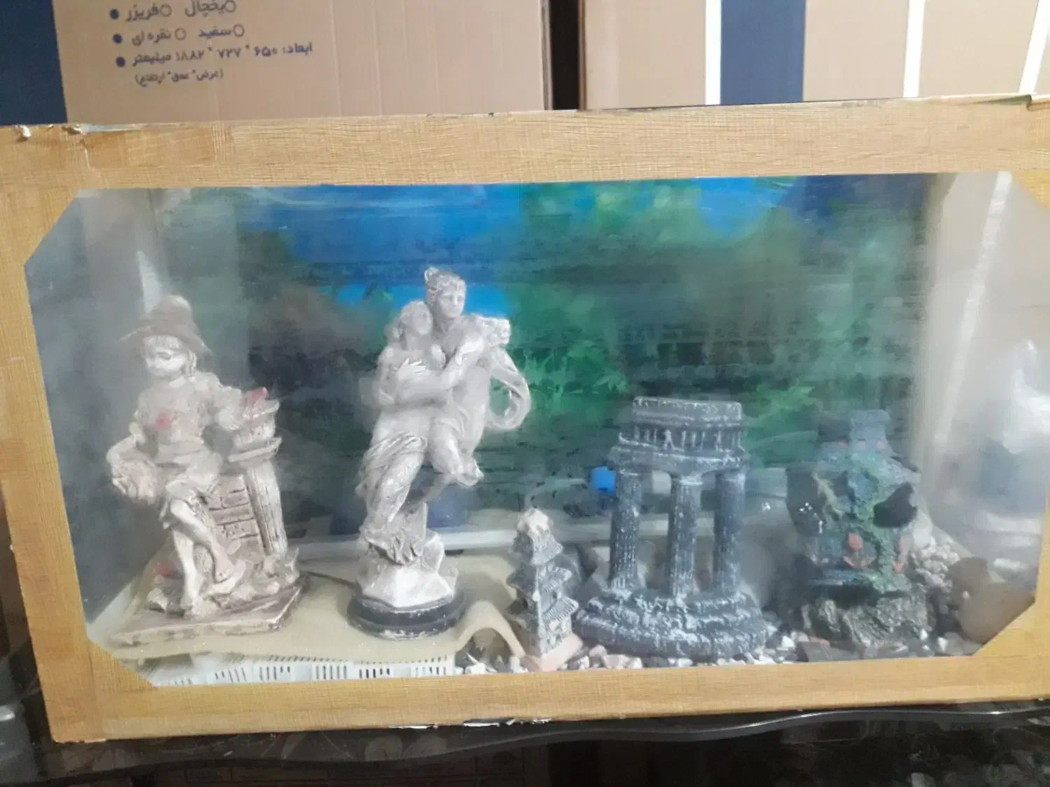 آکواریوم|ماهی|خرم‌آباد, |دیوار