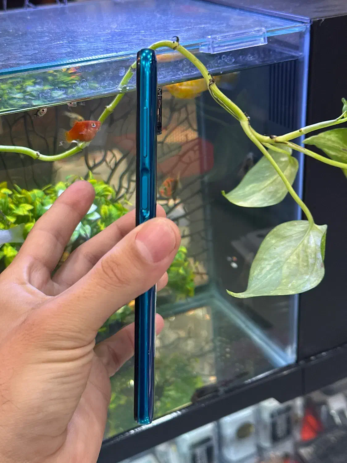 note9s|موبایل|شیراز, زند|دیوار