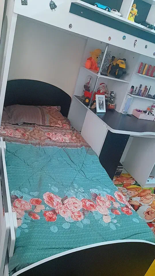 تختخواب دو طبقه|تخت و سرویس خواب|فردیس, فردیس|دیوار