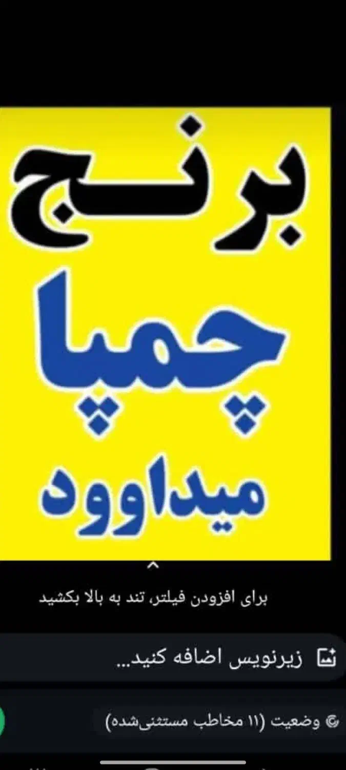 برنج چمپای میداود|خوردنی و آشامیدنی|باغ ملک, |دیوار