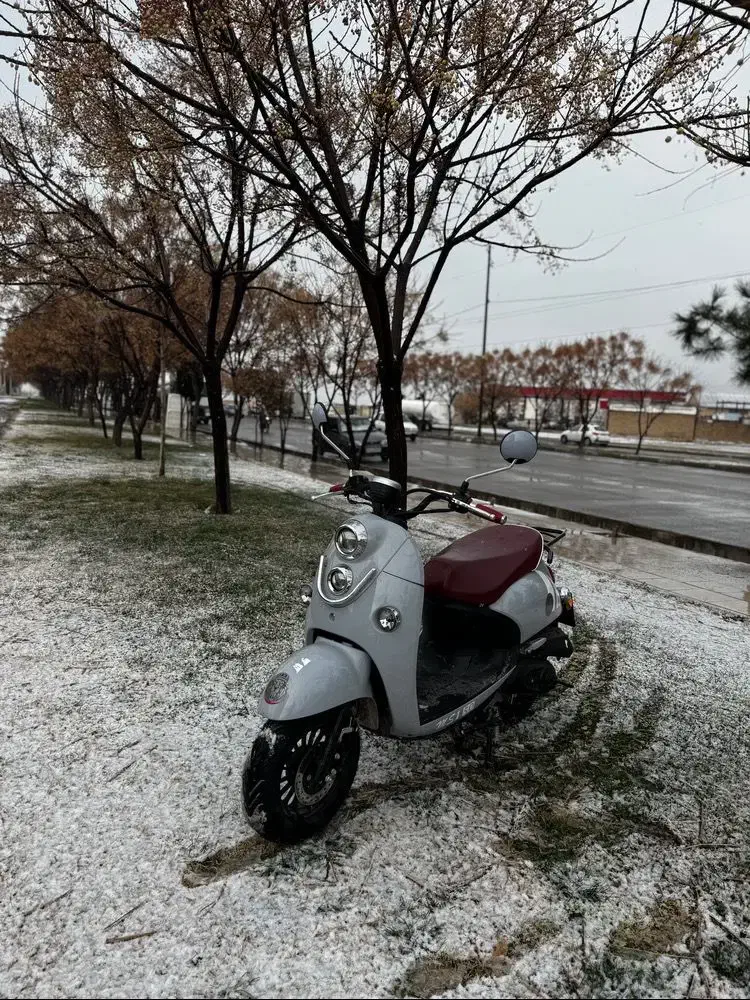 موتور ms1 ۵۰|موتورسیکلت|خرمآباد, |دیوار