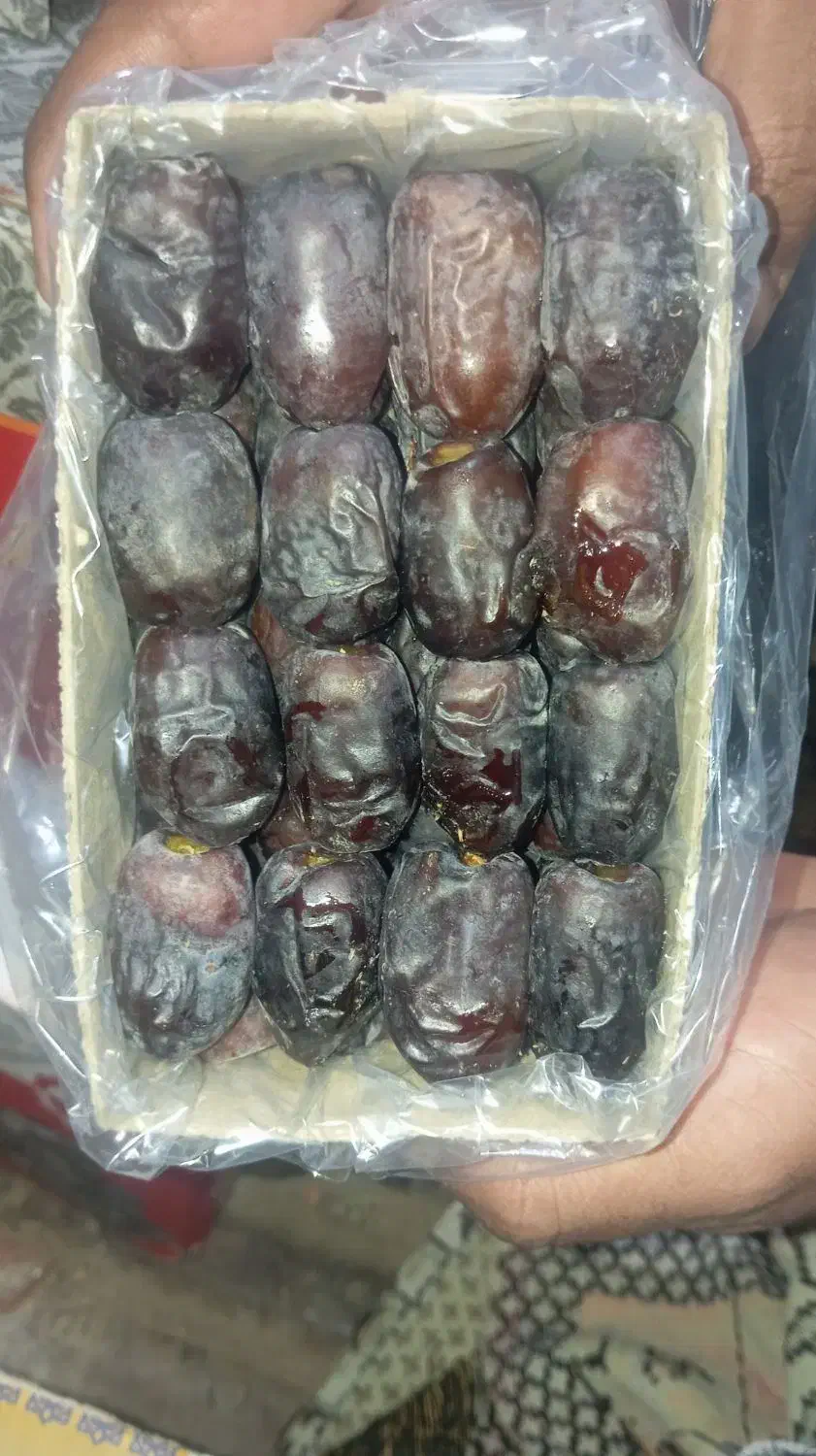 خرما بلوچستان|خوردنی و آشامیدنی|مشهد, کوشش|دیوار