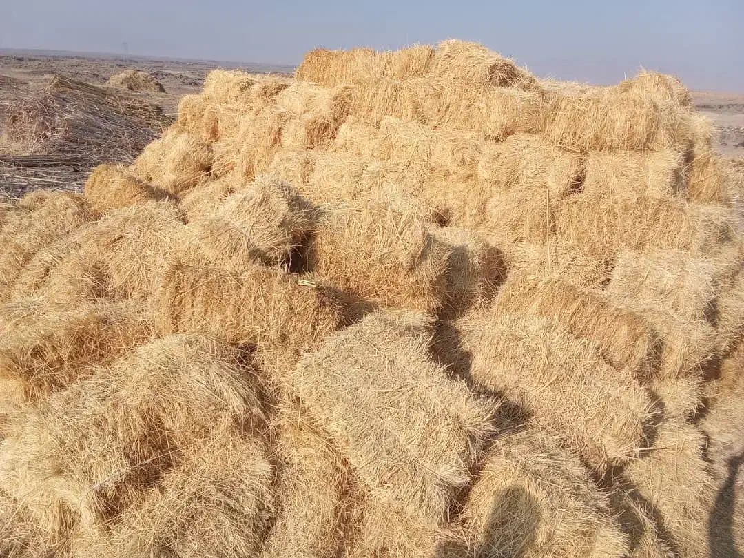 پرس علف دم|لوازم جانبی حیوانات|پلدشت, |دیوار