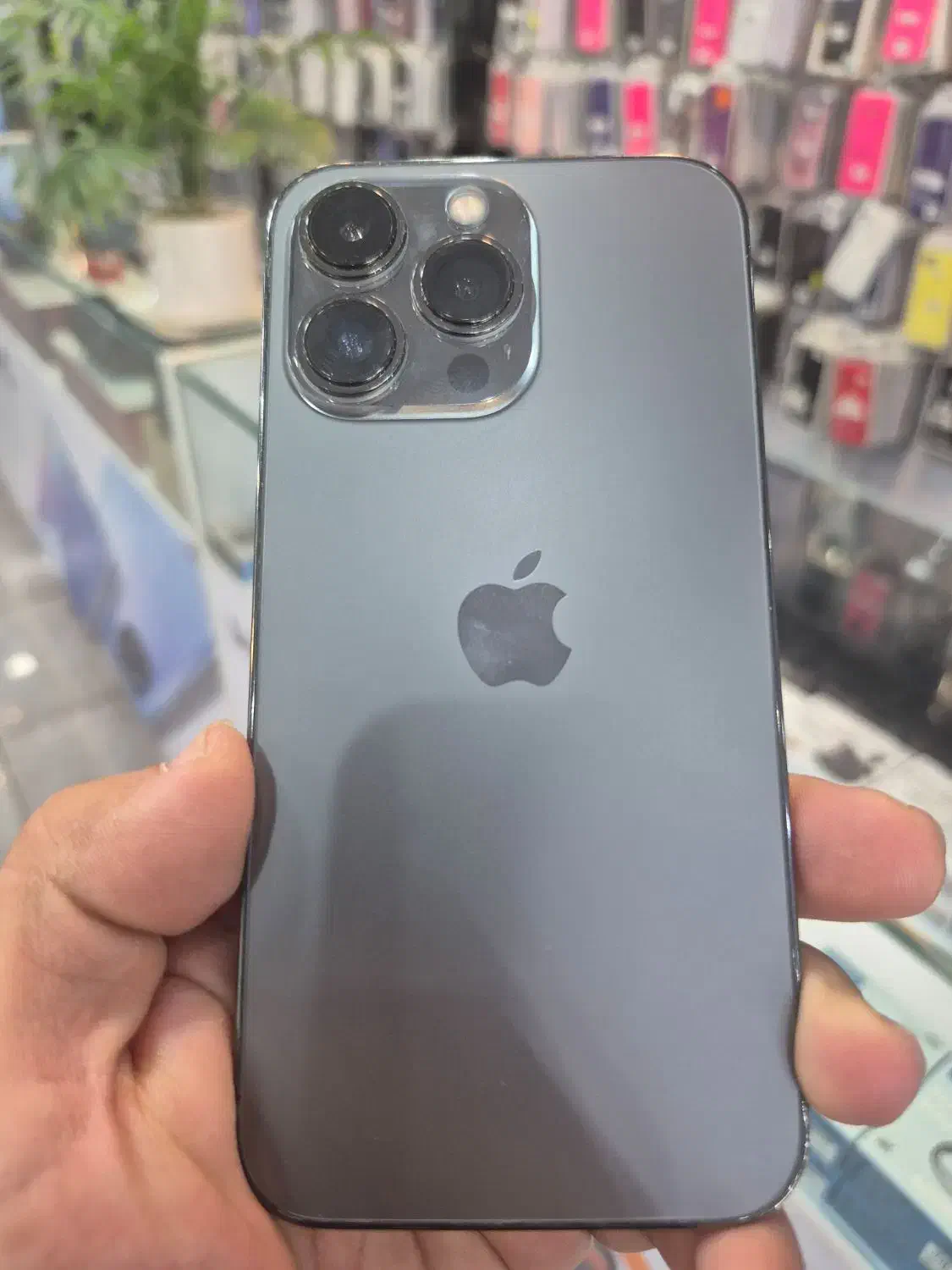 13pro ZA پک اورجینال|موبایل|شیراز, زرگری|دیوار