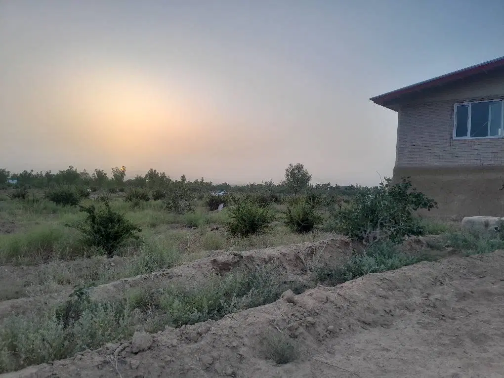 تصویر 8