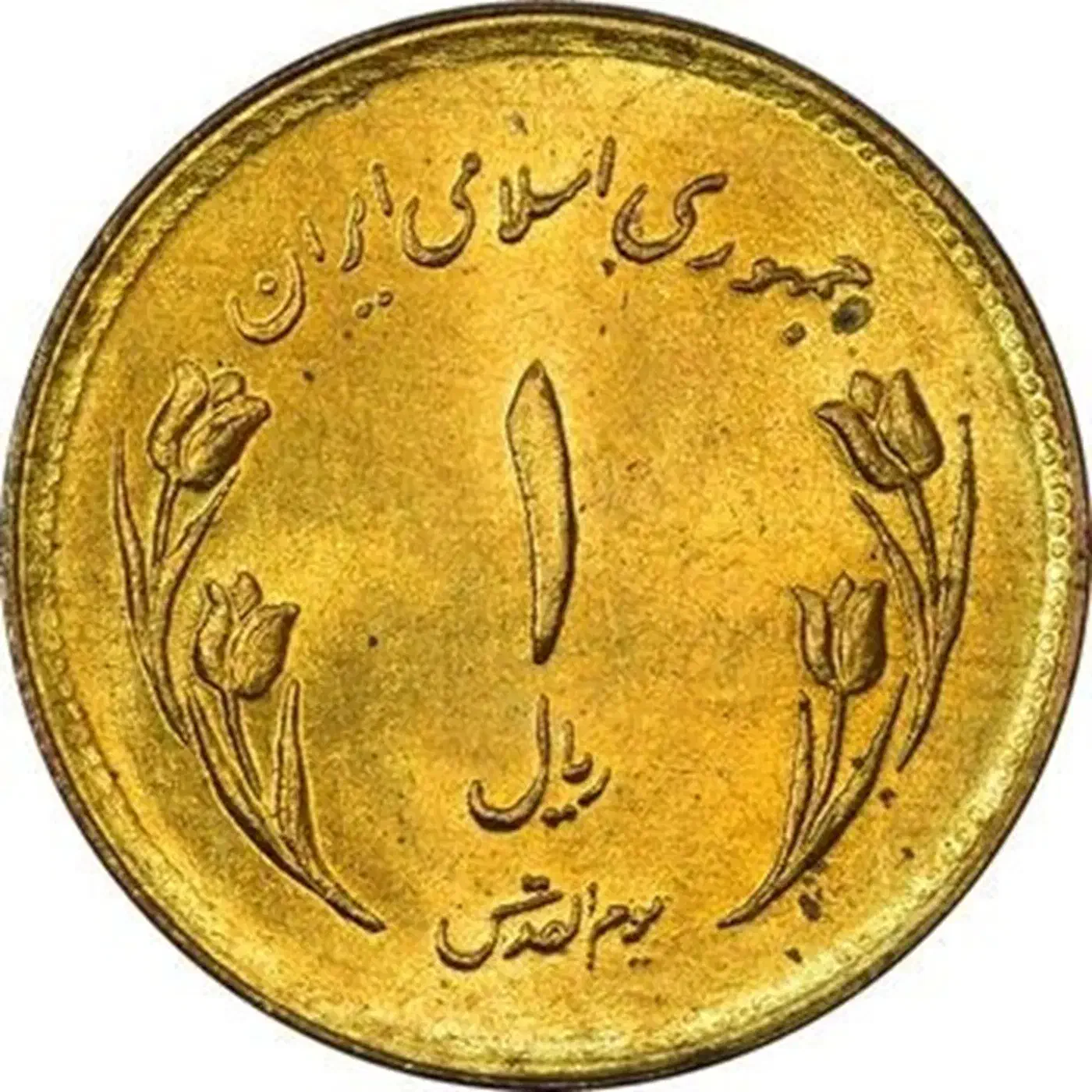 تعدادی سکه یک ریالی 1359|کلکسیون سکه، تمبر، اسکناس|شیراز, شهرک گلستان|دیوار