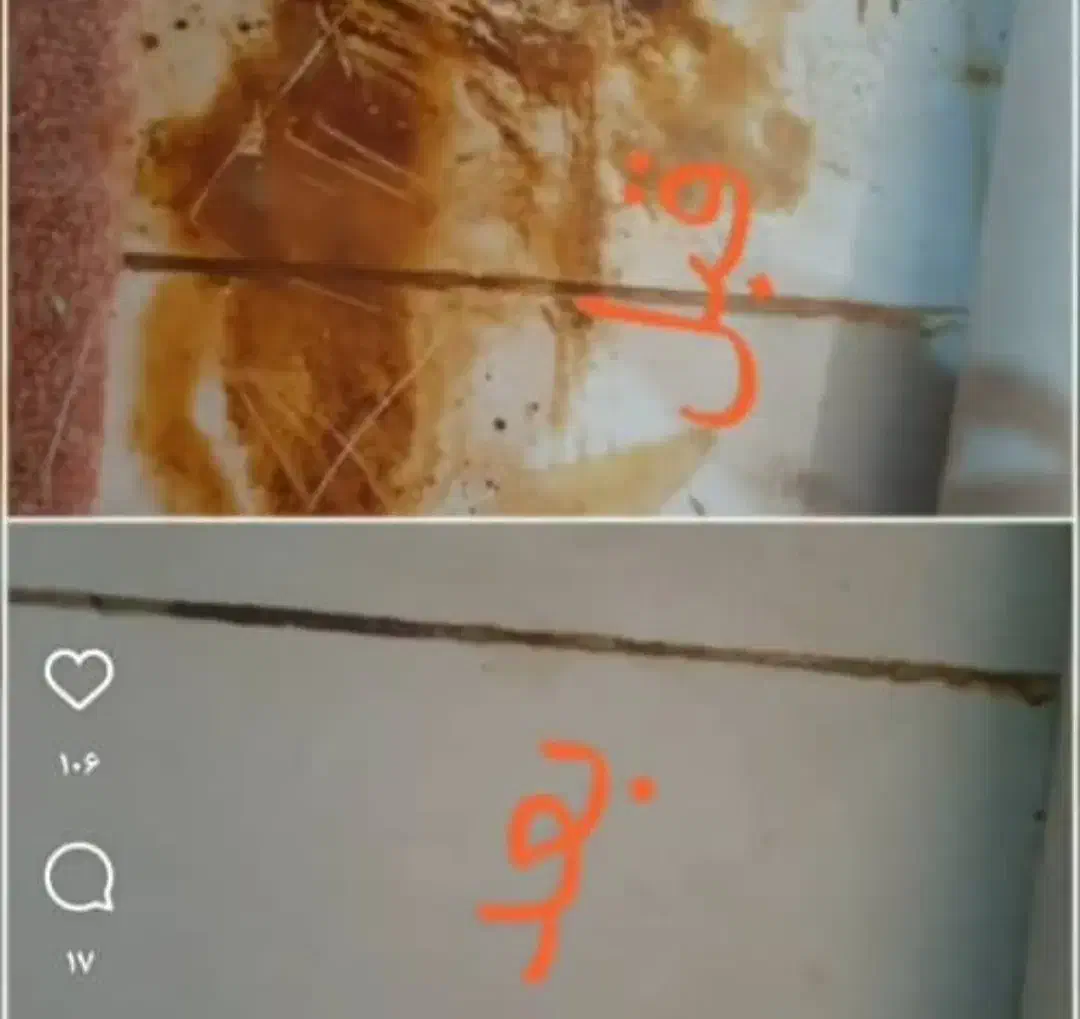 بااسپری پاکینوس هزار منظوره خانه خودرا نوکنید|مواد شوینده و دستمال کاغذی|اهواز, اسلام آباد غربی|دیوار