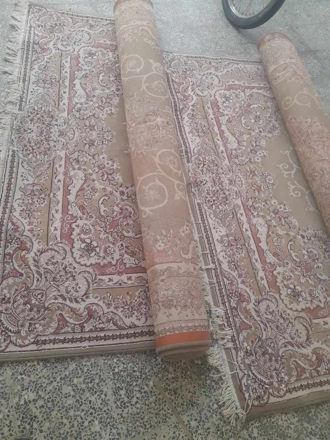 فروش فرش ۶متری|فرش|املش, |دیوار