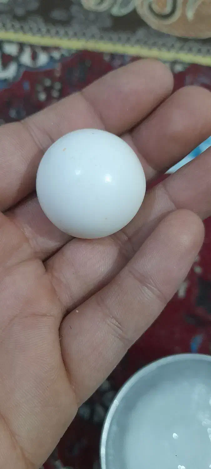 سنگ اسیاب یا سنگ الماس|جواهرات|برازجان, |دیوار