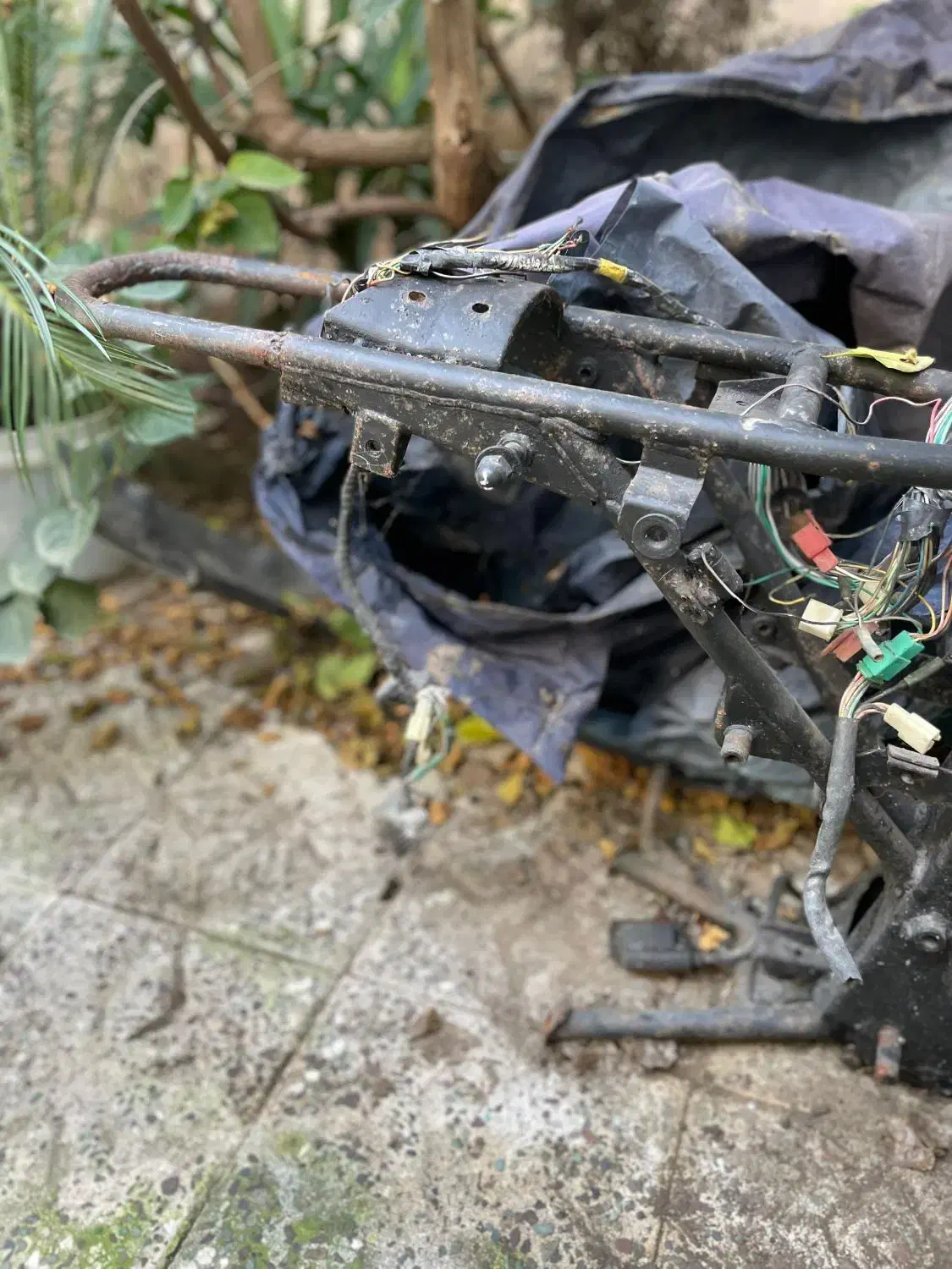 انجین و شاسی کاوازاکی شکاری چهار زمانه ۱۵۰|موتورسیکلت|رشت, پیرسرا|دیوار